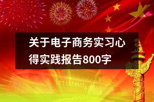 关于电子商务实习心得实践报告800字