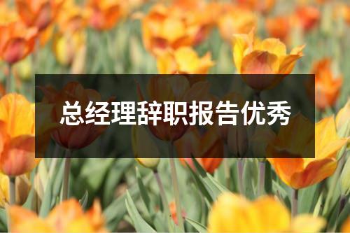 总经理辞职报告优秀