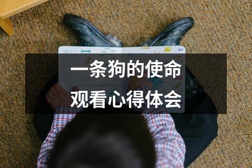 一条狗的使命观看心得体会