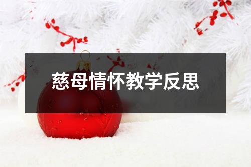 慈母情怀教学反思