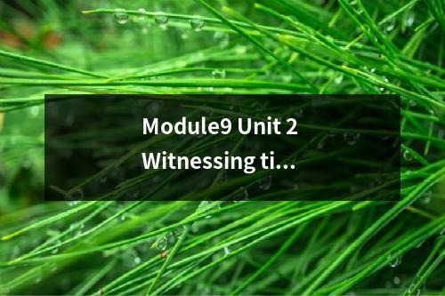 Module9 Unit 2 Witnessing time教案 (译林牛津版英语高三)