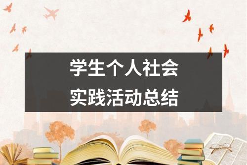 学生个人社会实践活动总结