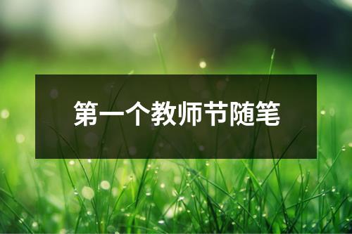 第一个教师节随笔