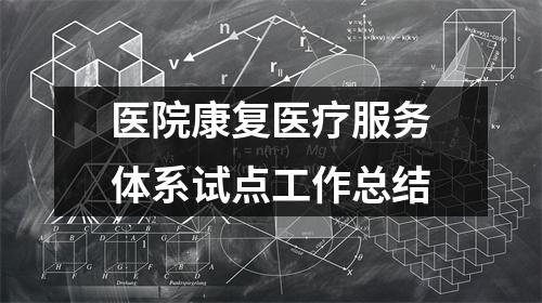 医院康复医疗服务体系试点工作总结