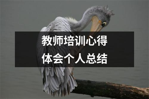 教师培训心得体会个人总结