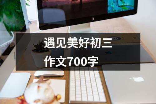 遇见美好初三作文700字