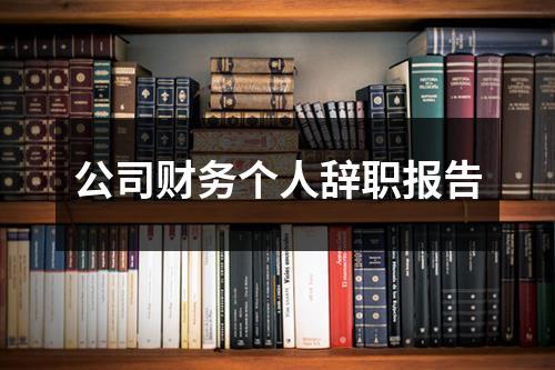 公司财务个人辞职报告