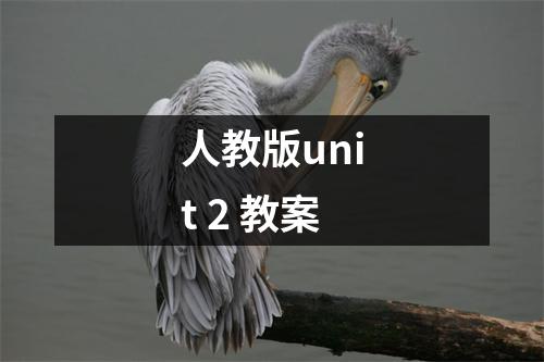 人教版unit 2 教案