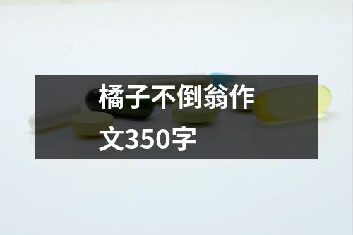 橘子不倒翁作文350字