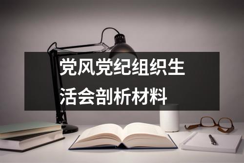 党风党纪组织生活会剖析材料