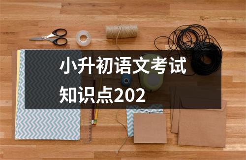 小升初语文考试知识点202