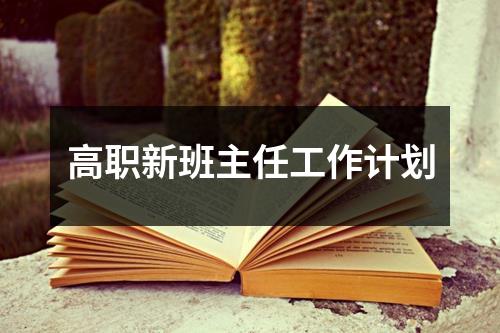 高职新班主任工作计划