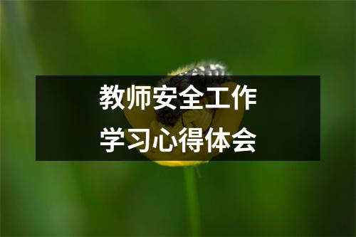 教师安全工作学习心得体会