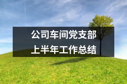 公司车间党支部上半年工作总结