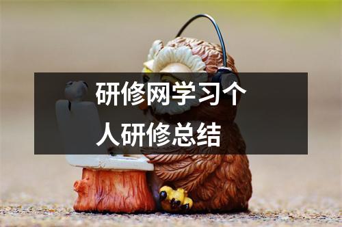 研修网学习个人研修总结