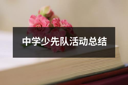 中学少先队活动总结