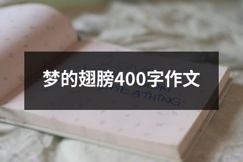 梦的翅膀400字作文