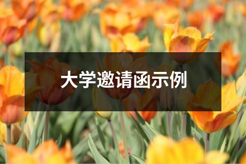 大学邀请函示例