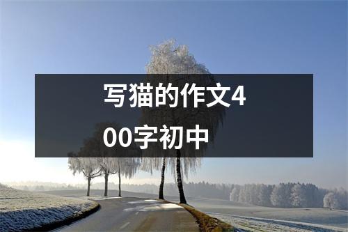 写猫的作文400字初中