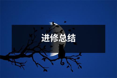 进修总结