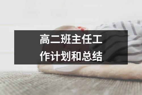 高二班主任工作计划和总结