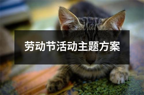 劳动节活动主题方案