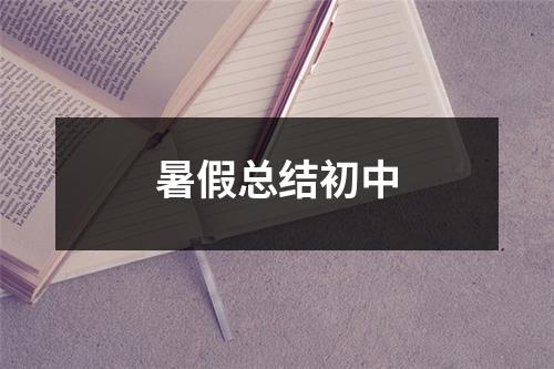 暑假总结初中