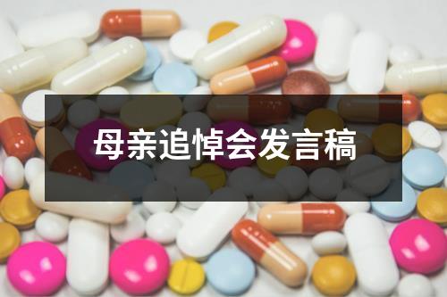 母亲追悼会发言稿