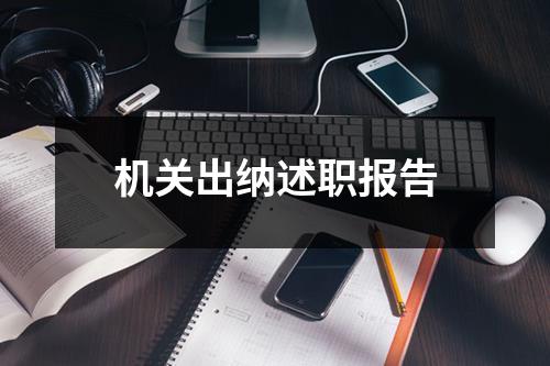 机关出纳述职报告