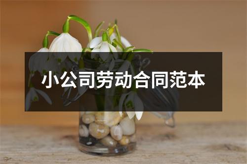 小公司劳动合同范本