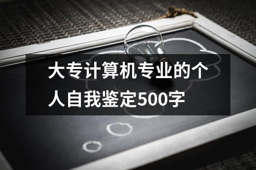 大专计算机专业的个人自我鉴定500字