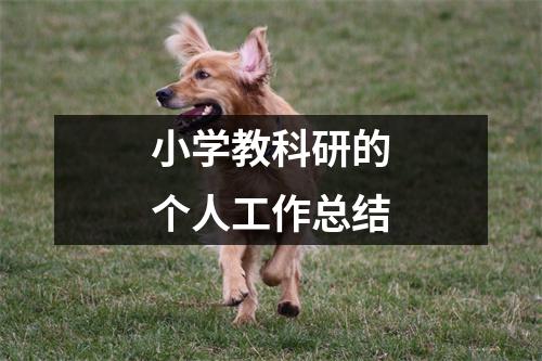 小学教科研的个人工作总结