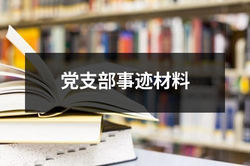 党支部事迹材料