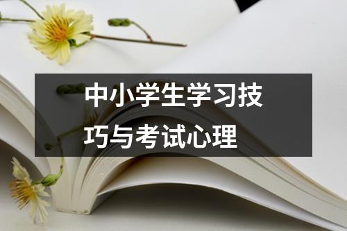 中小学生学习技巧与考试心理