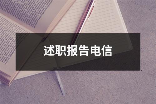 述职报告电信