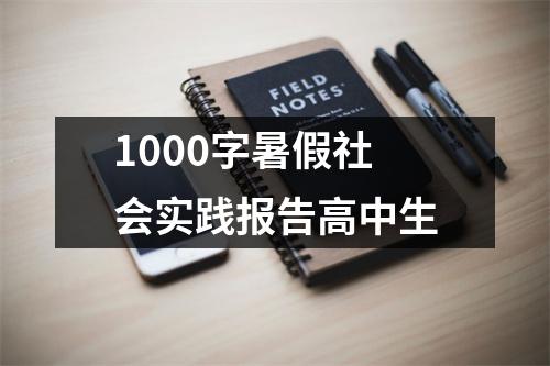 1000字暑假社会实践报告高中生