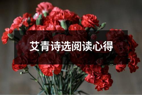 艾青诗选阅读心得