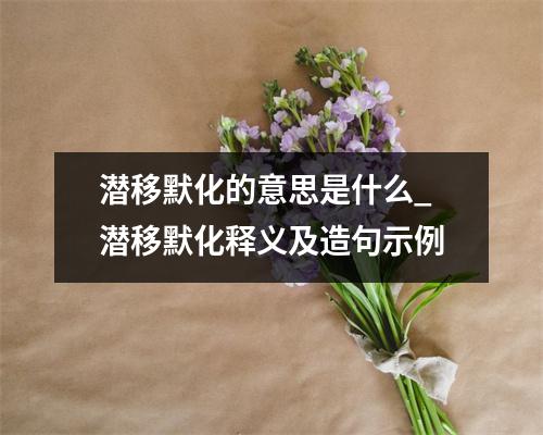 潜移默化的意思是什么_潜移默化释义及造句示例