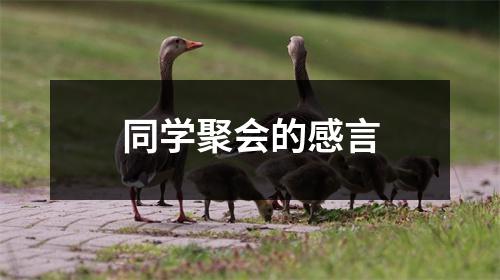 同学聚会的感言