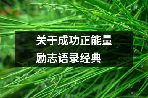 关于成功正能量励志语录经典