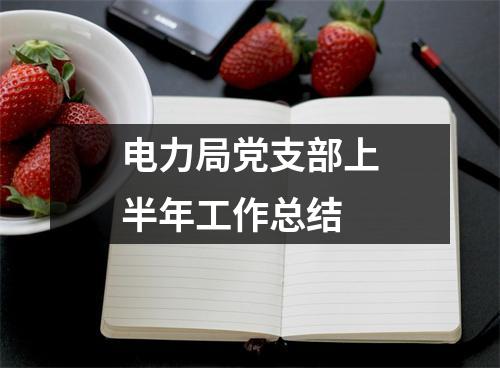 电力局党支部上半年工作总结