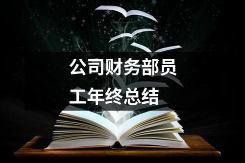 公司财务部员工年终总结