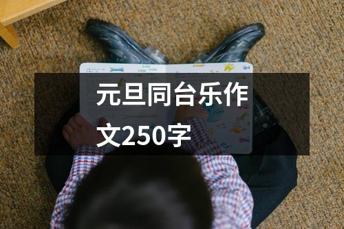 元旦同台乐作文250字