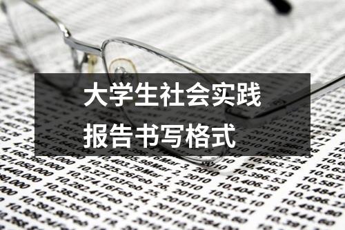 大学生社会实践报告书写格式