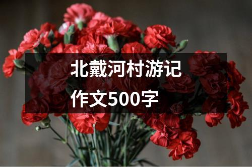 北戴河村游记作文500字