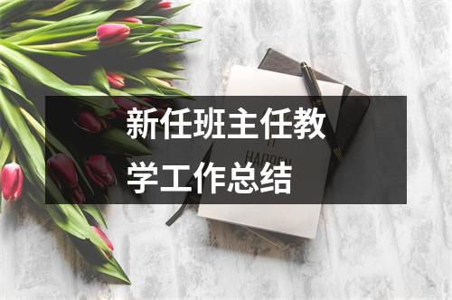 新任班主任教学工作总结