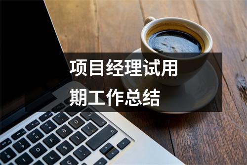 项目经理试用期工作总结