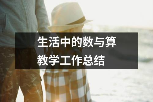 生活中的数与算教学工作总结