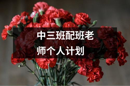 中三班配班老师个人计划