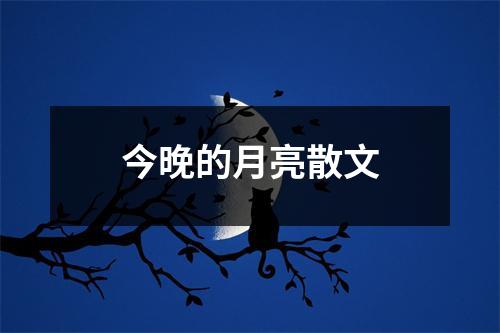 今晚的月亮散文